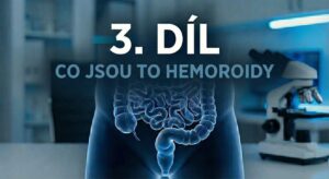 3. díl - Co jsou to hemoroidy